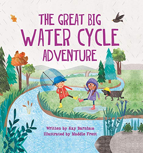 The Great Big Water Cycle Adventure (Look and Wonder)