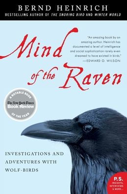 Mind Of The Raven