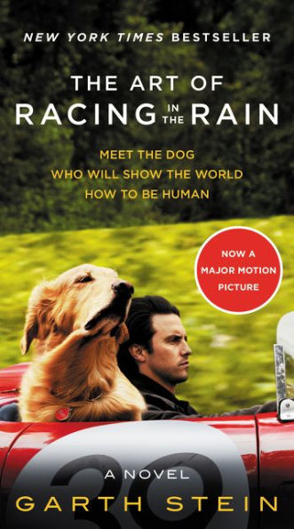 The Art Of Racing In The Rain Movie Tie-In Edition: A Novel
