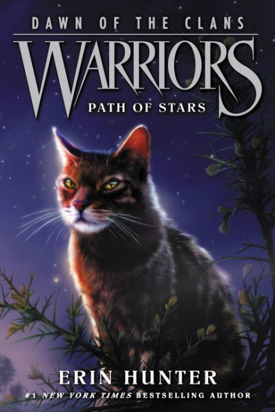 Warriors: Dawn Of The Clans #6: Path Of Stars