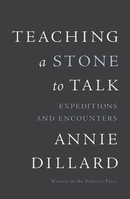 Teaching A Stone To Talk