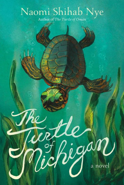 The Turtle Of Michigan: A Novel - 9780063014176