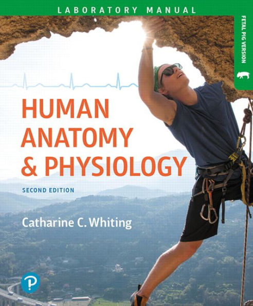 Human Anatomy & Physiology Laboratory Manual: Making Connections, Fetal Pig Version (Masteringa&P)