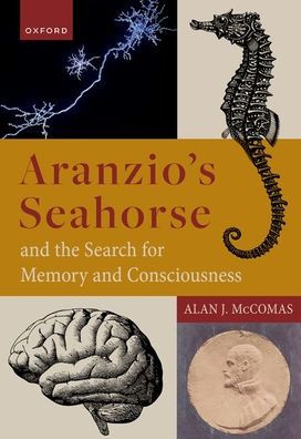 Aranzio'S Seahorse And The Search For Memory And Consciousness