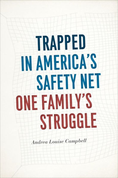 Trapped In America'S Safety Net: One Family'S Struggle (Chicago Studies In American Politics)
