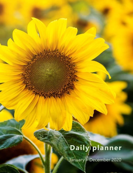 The Naughty Bachelorette Fun : Coloring Book For Party