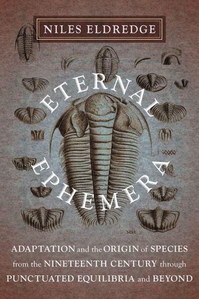 Eternal Ephemera: Adaptation And The Origin Of Species From The Nineteenth Century Through Punctuated Equilibria And Beyond