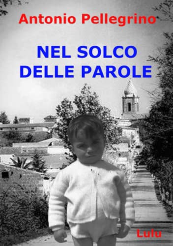 NEL SOLCO DELLE PAROLE (Italian Edition)
