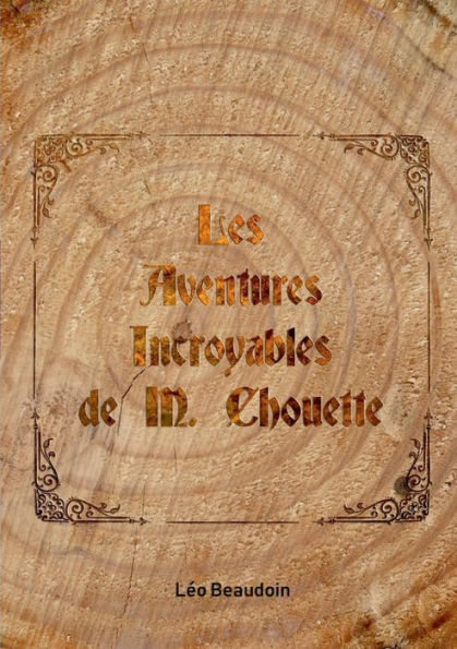 Les Aventures Incroyables De M. Chouette (French Edition)