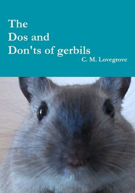The Dos And Don'ts Of Gerbils