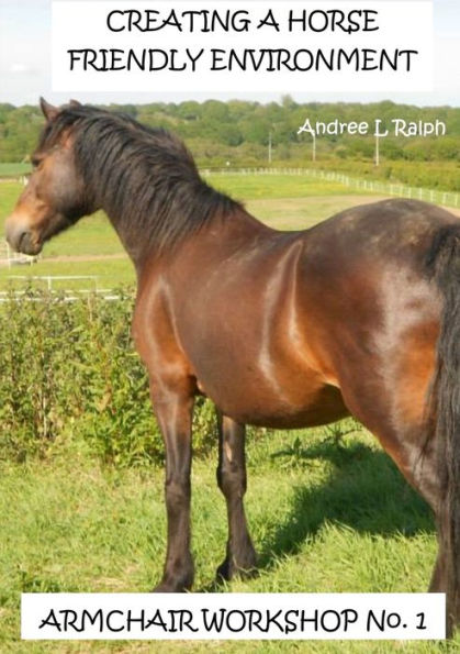 Creating A Horse Friendly Environment - Armchair Workshop No.1