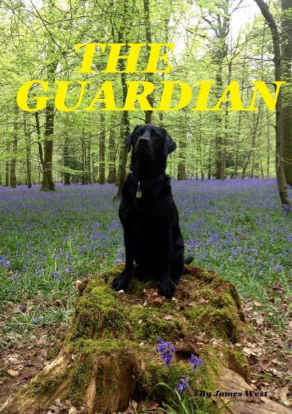 The Guardian - 9780244706913
