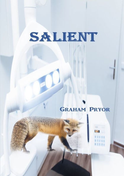 Salient - 9780244819668