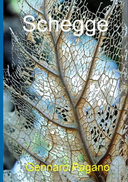 Schegge (Italian Edition)