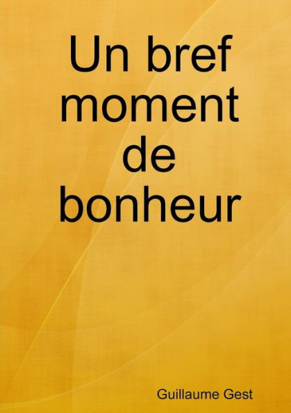 Un Bref Moment De Bonheur (French Edition)