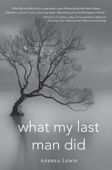 What My Last Man Did (Blue Light Books)
