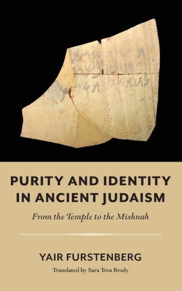 Purity And Identity In Ancient Judaism: From The Temple To The Mishnah (Olamot Series In Humanities And Social Sciences)