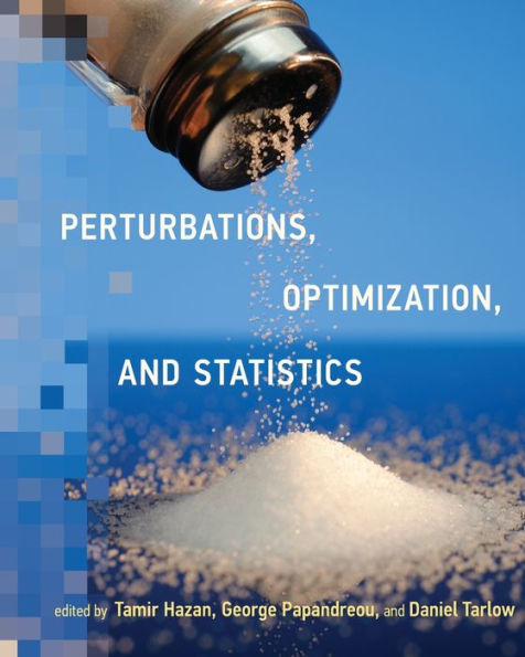 Perturbations, Optimization, And Statistics (Neural Information Processing Series)