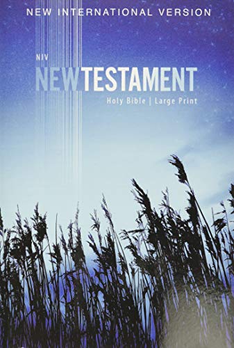 Niv, Outreach New Testament, Large Print, Paperback