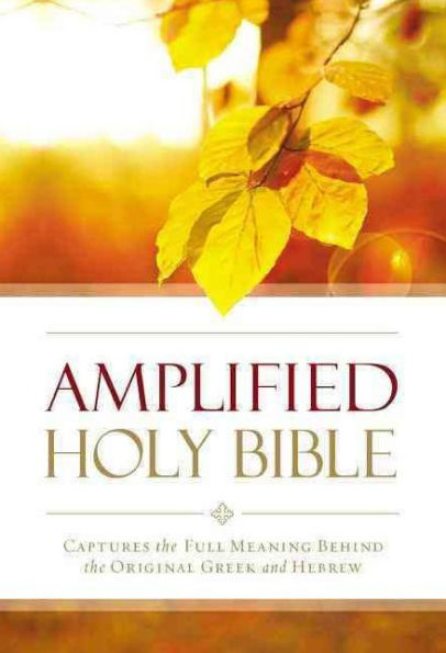 Amplified Outreach Bible, Paperback: Capture The Full Meaning Behind The Original Greek And Hebrew - 9780310447009