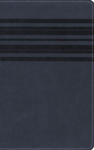 Nirv, Holy Bible, Large Print, Leathersoft, Blue