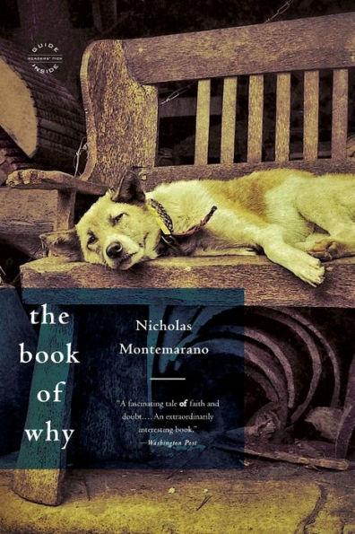 The Book Of Why: A Novel