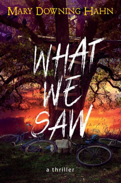 What We Saw: A Thriller - 9780358697312