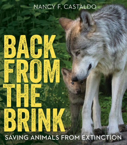 Back From The Brink: Saving Animals From Extinction
