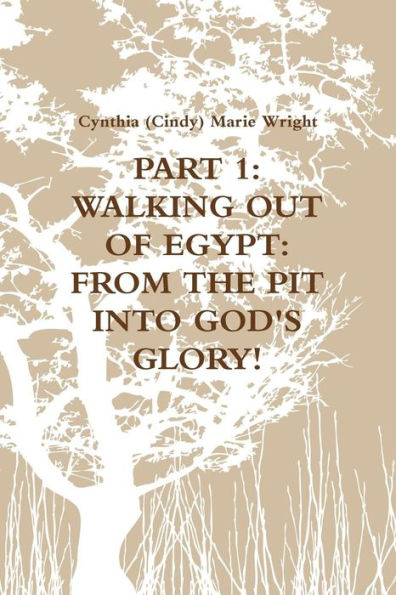 Part 1: Walking Out Of Egypt: From The Pit Into God's Glory!