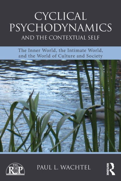 Cyclical Psychodynamics And The Contextual Self (Relational Perspectives Book Series)