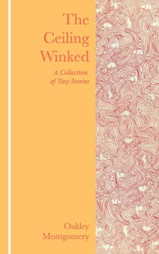 The Ceiling Winked