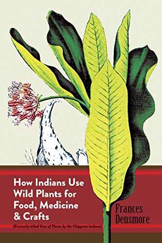 How Indians Use Wild Plants For Food, Medicine And Crafts