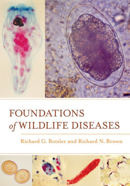 Foundations Of Wildlife Diseases