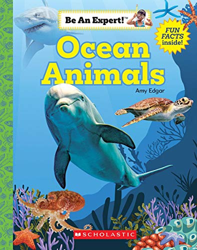 Ocean Animals (Be An Expert!) (paperback)