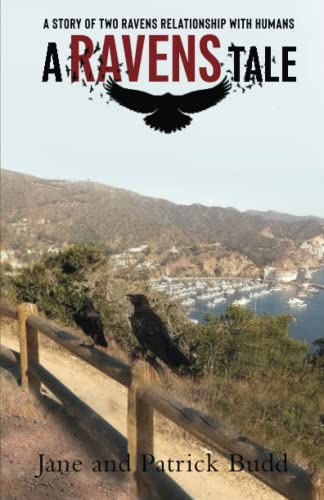 A Ravens Tale
