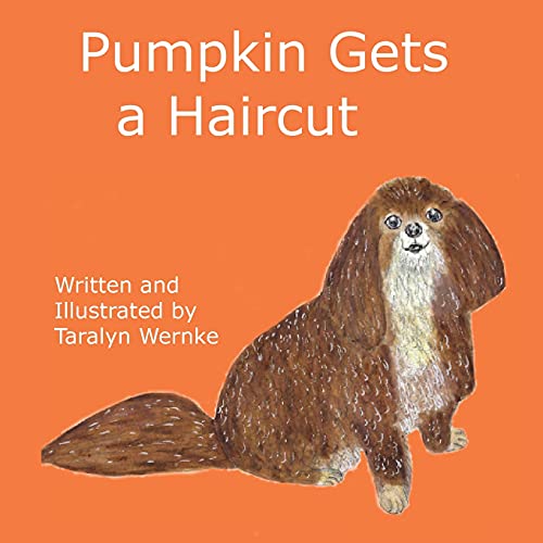Pumpkin Gets A Haircut - 9780578924991
