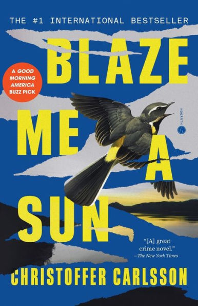 Blaze Me A Sun: A Novel About A Crime
