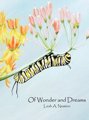 Of Wonder And Dreams
