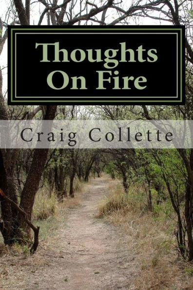 Thoughts On Fire: A Collection Of Poems From The Road Of Life