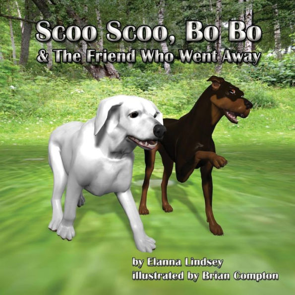 Scoo Scoo, Bo Bo And The Friend Who Went Away (The Adventures Of Scoo Scoo And Bo Bo)