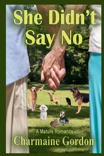 She Didn'T Say No (The Beginning... Not The End)