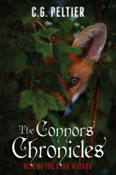The Connors Chronicles: Rise Of The Dark Wizard