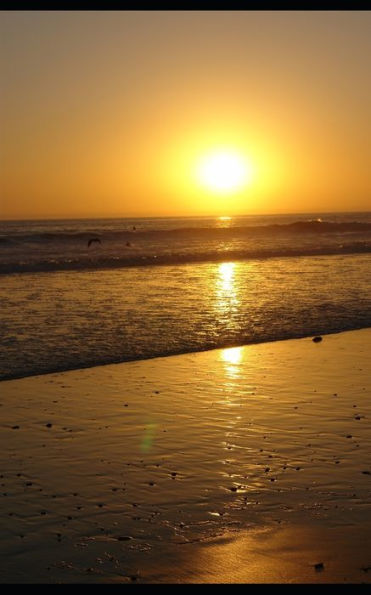 Now Is The Time: God Has A Plan For You (Chosen By God)