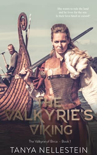 The Valkyrie's Viking - The Valkyrie Of Birca Book 1