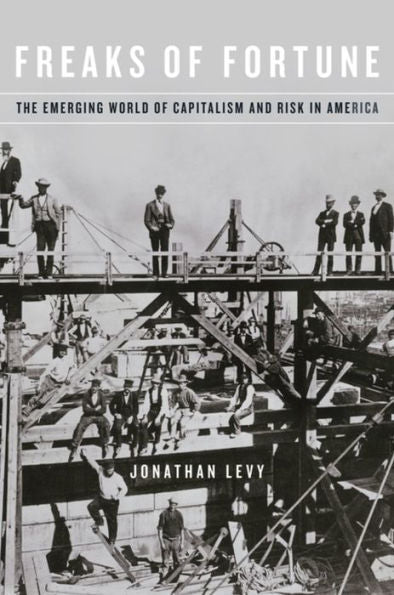 Freaks Of Fortune: The Emerging World Of Capitalism And Risk In America