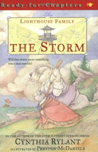 The Storm (The Lighthouse Family) - Paperback