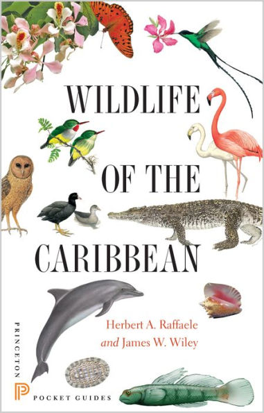 Wildlife Of The Caribbean (Princeton Pocket Guides)