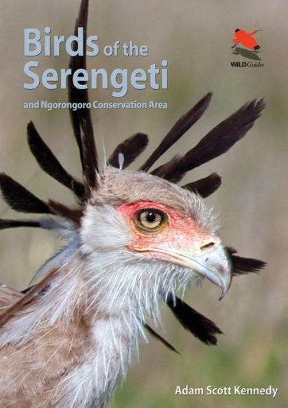 Birds Of The Serengeti: And Ngorongoro Conservation Area (Wildlife Explorer Guides, 9)