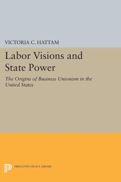 Labor Visions And State Power: The Origins Of Business Unionism In The United States (Princeton Studies In American Politics: Historical, International, And Comparative Perspectives, 145)