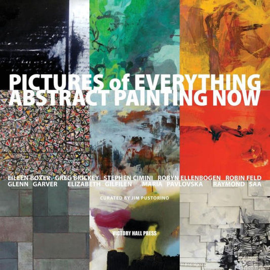Pictures Of Everything: Abstract Painting Now (Drawing Rooms Catalogues)